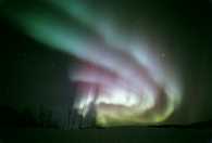 aurora.jpg