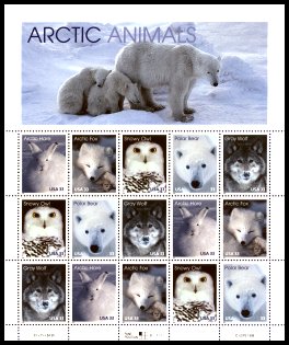ArcticAnimal.gif